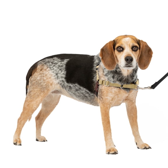 PetSafe Easy Walk Dog Harness, No Pull Leash, prevents from Choking on Walks, Fawn, S/M
