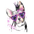 thumbnail image 1 of Pintura de diamante (DE6044) 5D DIY Gafas cuadradas Imagen de perro de diamantes de imitación 40x50cm Hugtrwg Para estrenar, 1 of 1