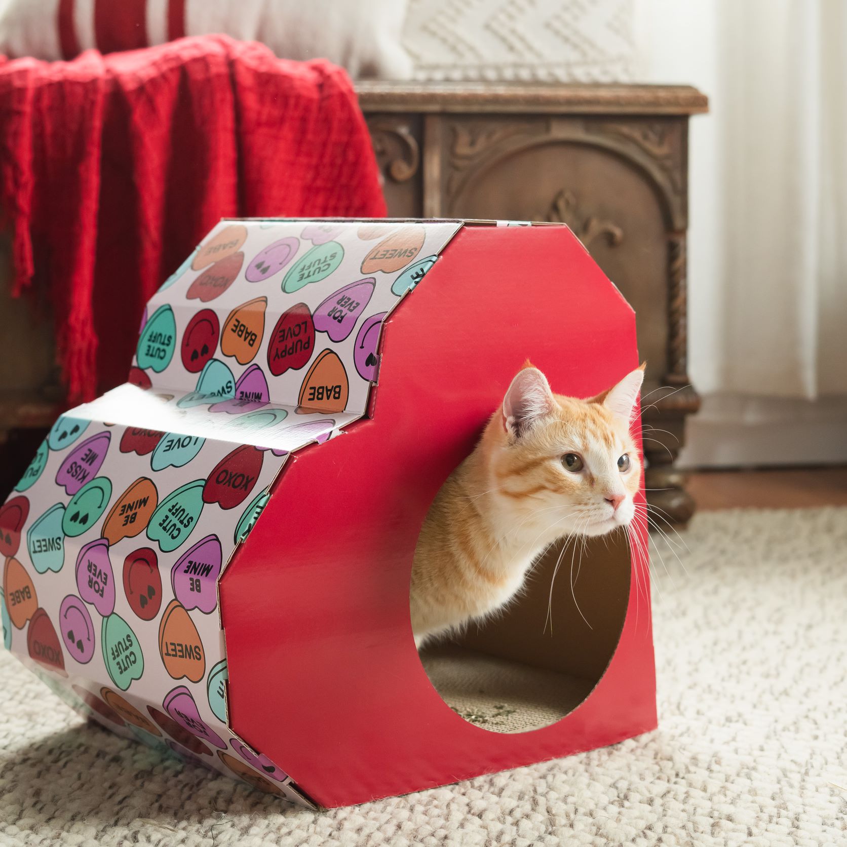 Cardboard Cat House Kmart atelieryuwa.ciao.jp