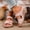 Pink, variant on Women's Wedge Sandals, Solid Color Peep-Toe Open-Toe Spring/Summer Beach Thick Sole Adjustable Strap Walking Shoes Green