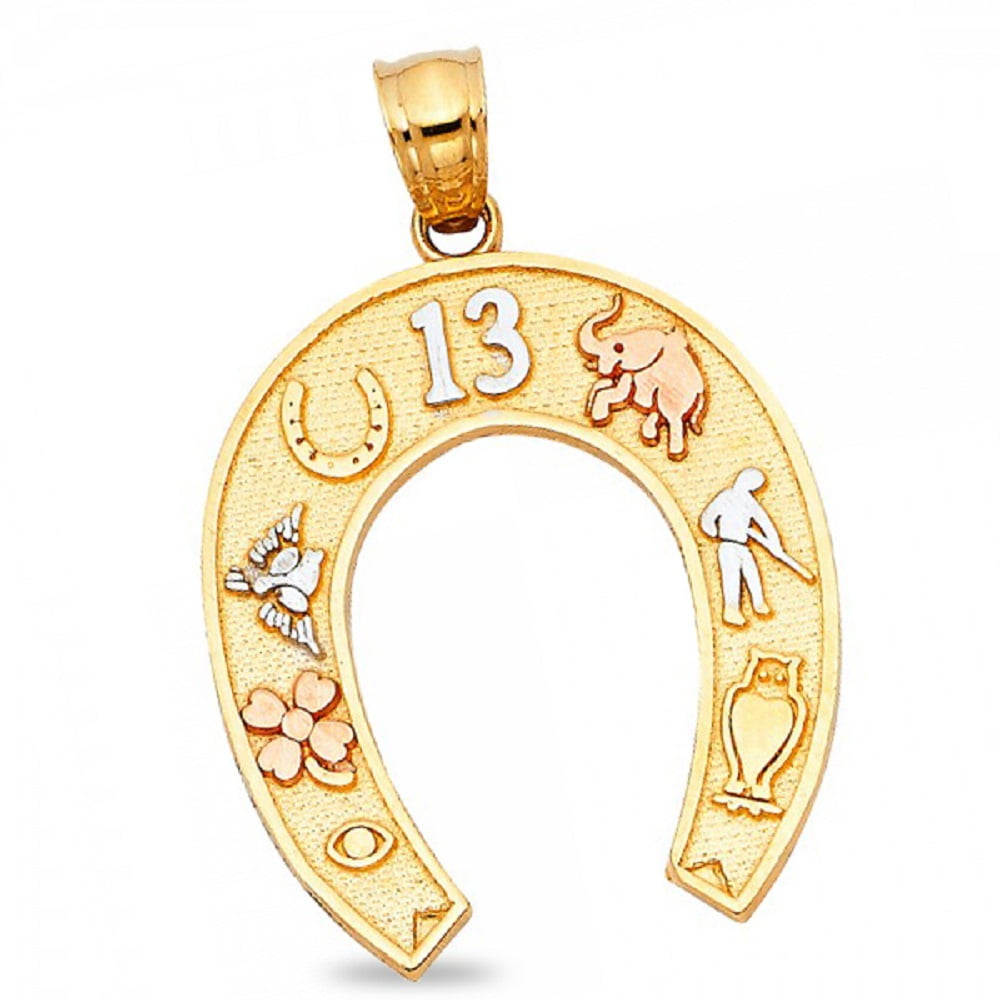 ♦︎ GOOD LUCK!! Luck Feng Shui Pendant DSE548