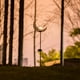 thumbnail image 5 of Luces solares de jardín, camino, luces de luna al aire libre, para césped, patio o patio, 5 of 5