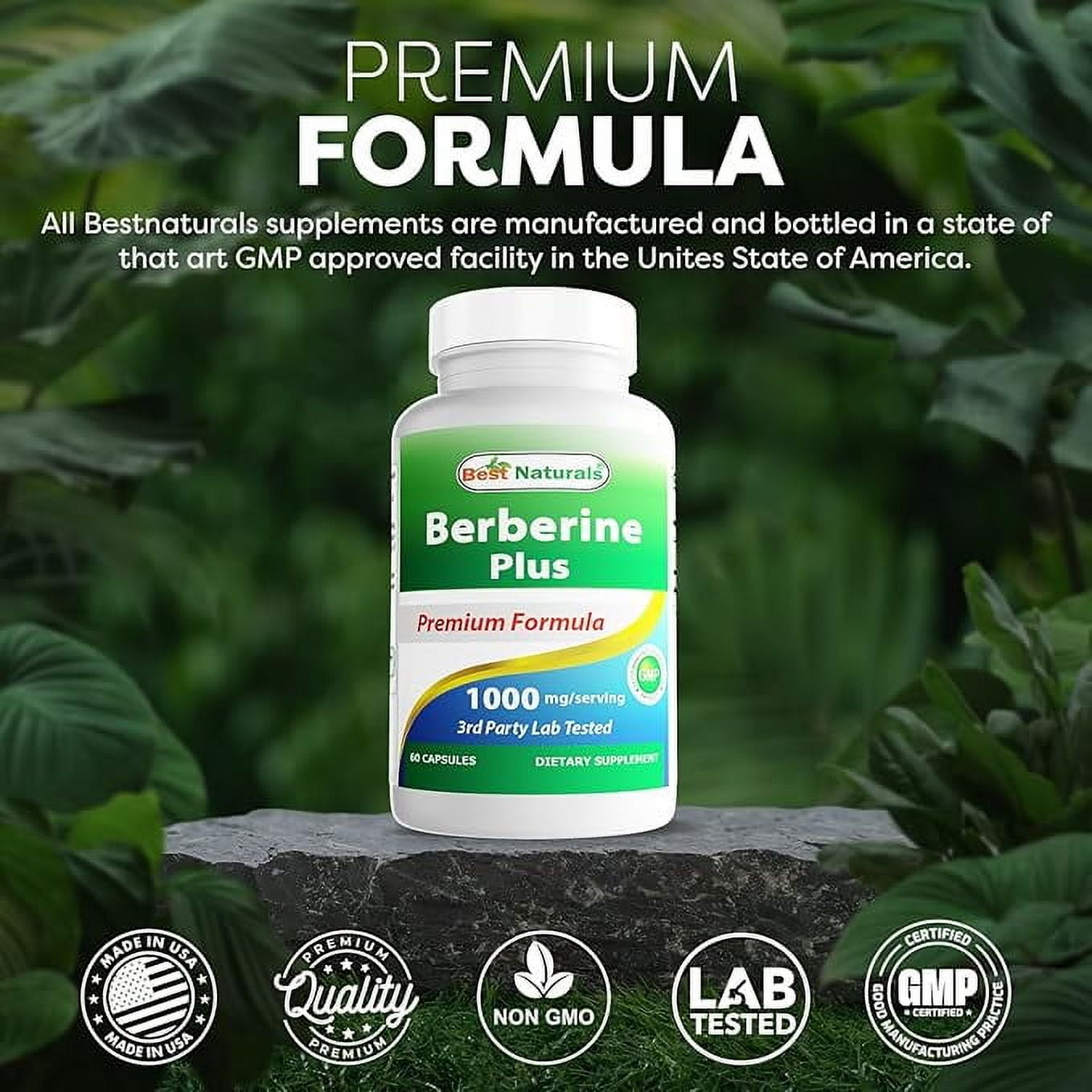 (2 pack) Best Naturals Berberine Plus 1000mg, Non-GMO, 60 Capsules