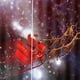 thumbnail image 4 of Juego de 2 cortinas decorativas navideñas, cortinas para ventanas, cortinas opacas Santa estrellado, 4 of 4