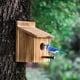 thumbnail image 4 of Outdoor Bird House, Outdoor Wooden Bird House, Bird Nest, 4 of 5