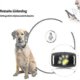 thumbnail image 3 of Smart Gps Cat And Dog Collar Tracker, 3 of 5