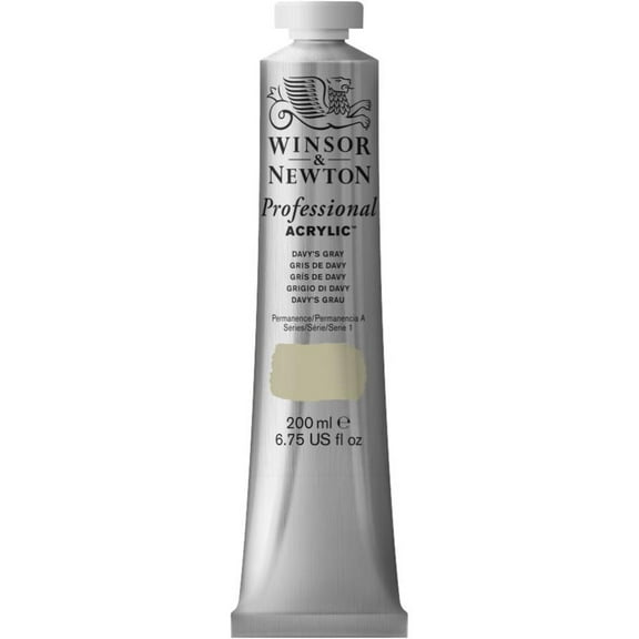 Winsor & Newton Artists' Acrylic Color, 200ml Tube, Davy's Gray