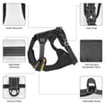 thumbnail image 6 of Lsque Sunset Meditating Doberman Dog Harness, No-Pull Pet Harness with 2 Leash Clips, Adjustable Soft Padded Dog Vest with Easy Control Handle for Large Dogs-Medium, 6 of 9