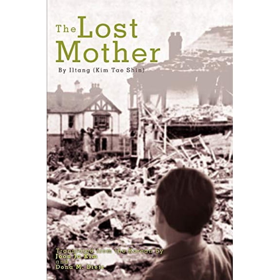 Pre-Owned The Lost Mother, 9780595441945, 0595441947, Paperback, First Edition edition