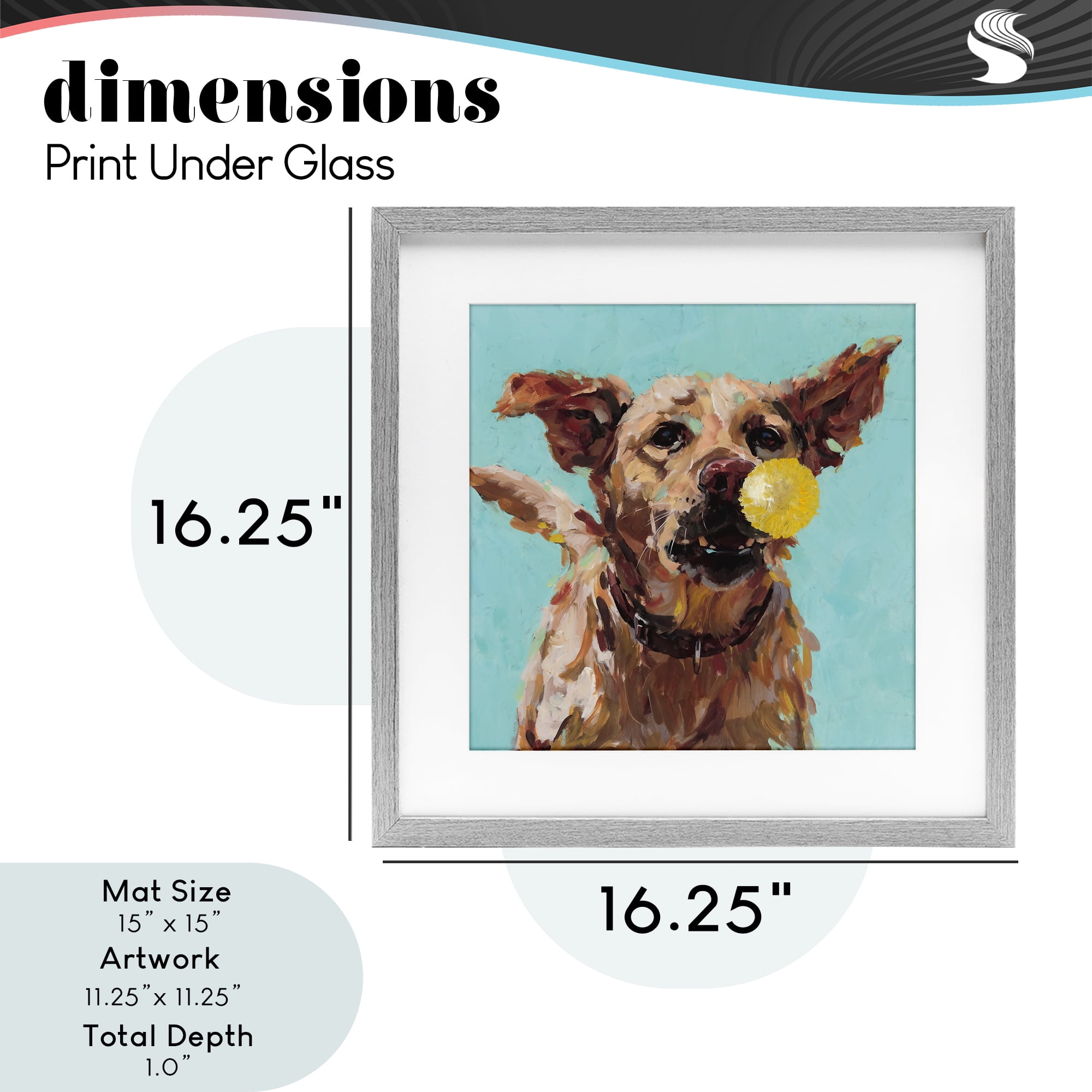 Dog Playing with Ball Gray Framed Print Under Glass, design by Studio Bautista