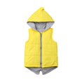 thumbnail image 5 of Veste Dinosaure pour Tout-Petit Garçon Fille, Manteau Sans Manches pour Enfants, Gilet à Fermeture à Glissière, Hauts, Vêtements d'Extérieur, Chandails à Capuchon, Gilet 0-7 Ans, 5 of 5
