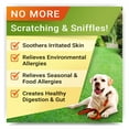 Allergy Relief Dog Treats w/ Omega 3 + Pumpkin + Enzymes + Turmeric