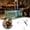 Grey, variant on XINGXIANG Aquarium Gravel Cleaner, Manual Fish Tank Siphon Water Changer with Flow Control, Fish Tank Cleaning Tool for Aquarium Water Change Sand Vacuum(Blue)
