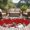 Red, variant on Round Area Rugs Collection 7 Ft, Red Christmas Non-Slip Residential Carpet, Snowman Xmas Truck Balls Tree Indoor Crawling Mats Runner Rugs for Living Room/Dining Room/Bedroom