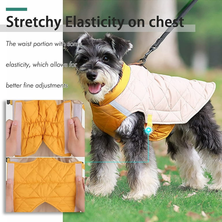 Miniature schnauzer winter coats hotsell