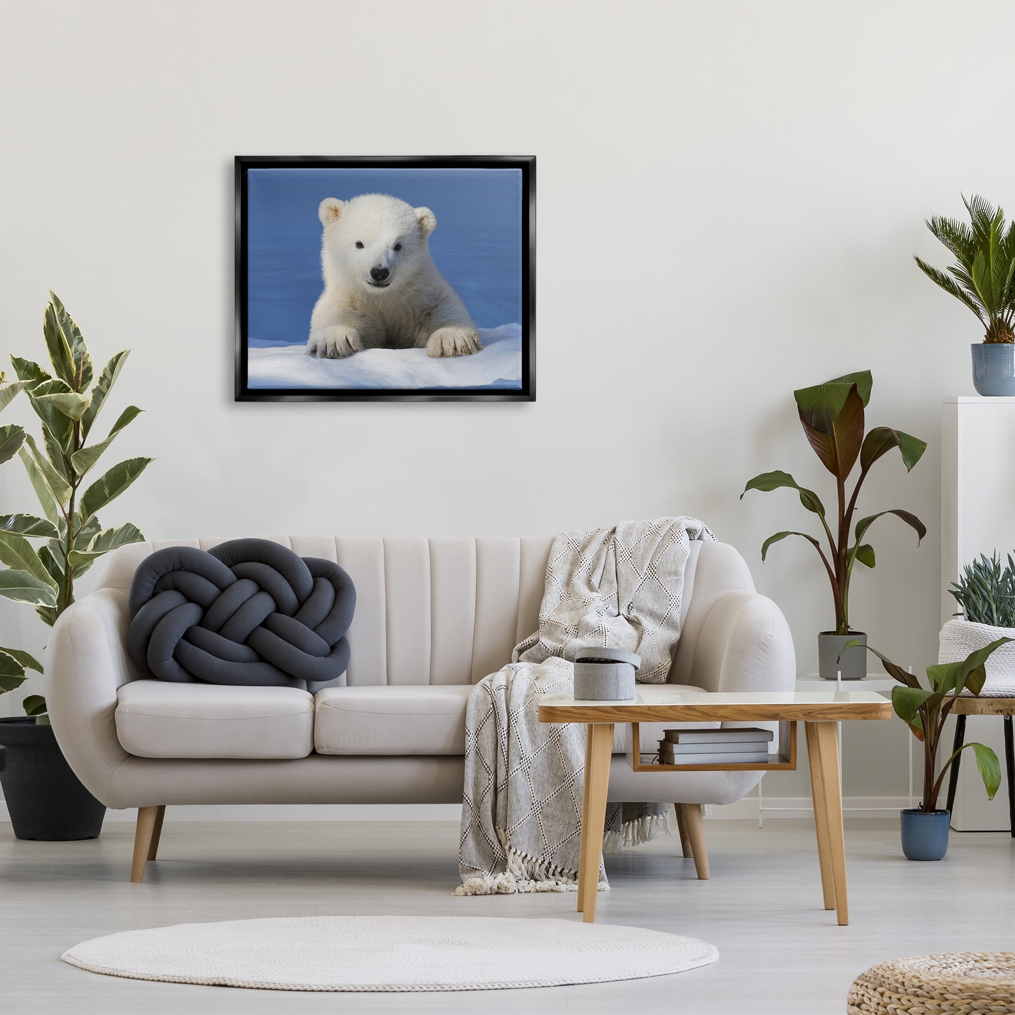 Stupell Industries Baby Polar Bear Peeking Animals & Insects Photography Black Floater Framed Art Print Wall Art, 31 x 25