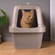 thumbnail image 3 of Sartén Grande para Gatos Van Ness Pets Beige con Control de Olores y Capucha, 3 of 11