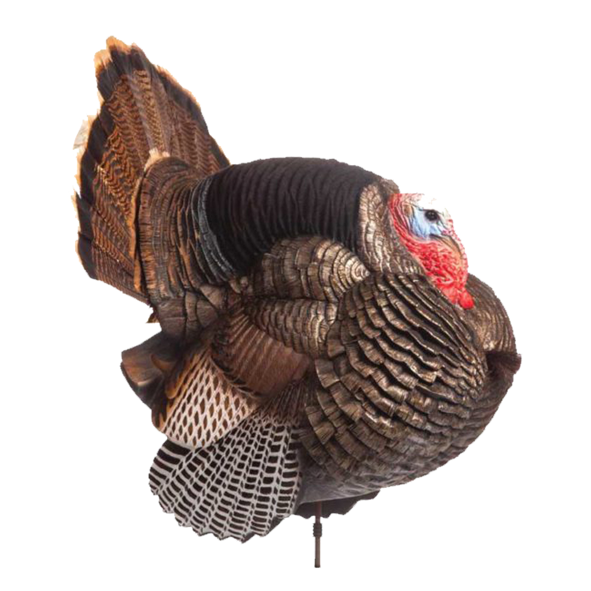 Dave Smith Full Strut Jake Turkey Decoy