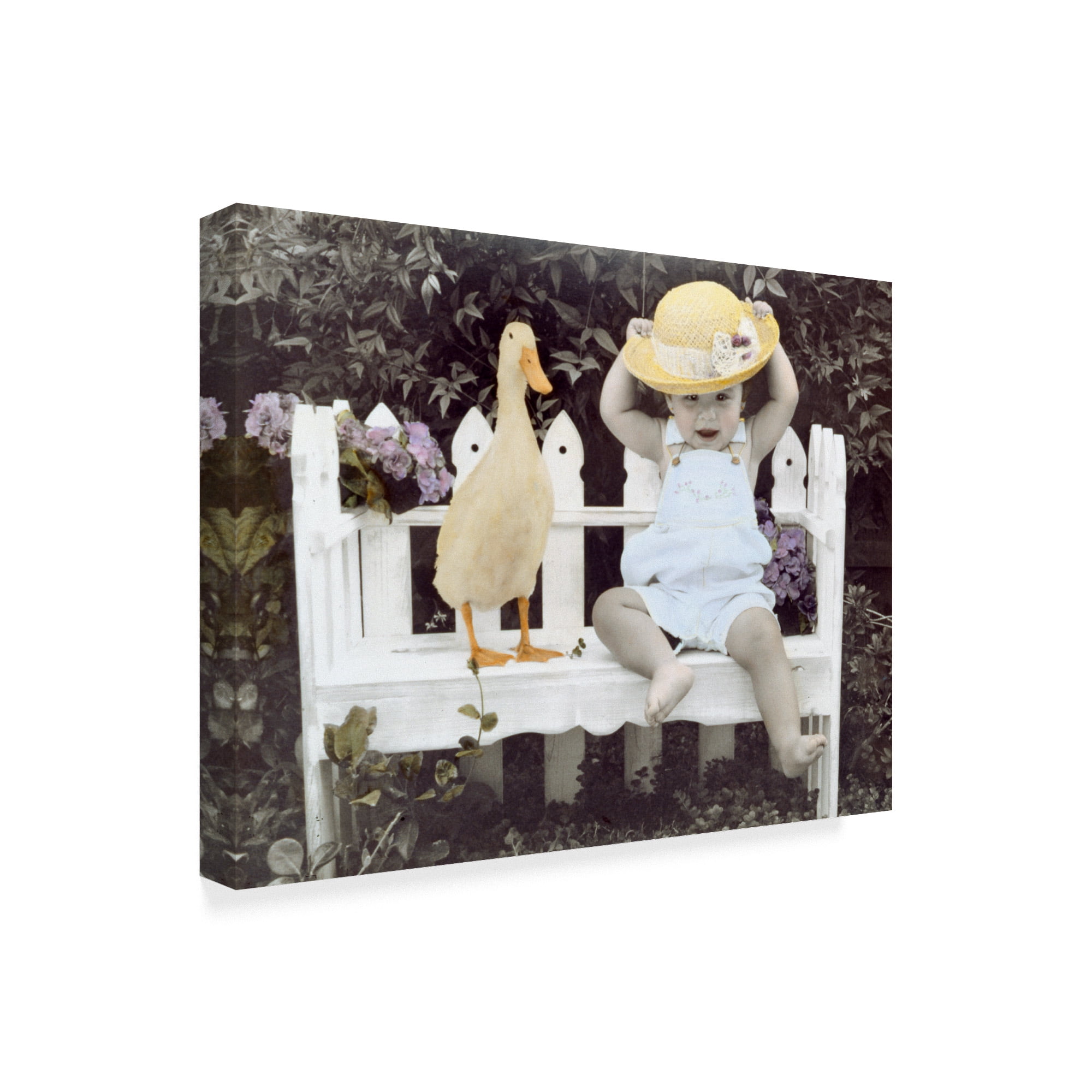 Trademark Fine Art 'Whats Up' Canvas Art by Sharon Forbes