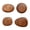 Walnut1, variant on AOOOWER Pack Of 4 Solid Wood Nordic Stone Hooks with Strong Adhesive Backing for Wall