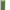 Sharp Lime, variant on Rubbermaid TakeAlongs 5.2 Cup Deep Square Food Storage Container, Set of 4