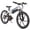White, variant on JOYSTAR Radspur Electric Bike 20" with 250W Brushless Motor, 15 Miles 15MPH Electric Mountain Bicycle with Removable Battery, White