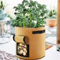 thumbnail image 2 of Perfect Planting Bag, 12 Liter Felt Bags Tomato Planting Bag, (5 Pieces), 2 of 4