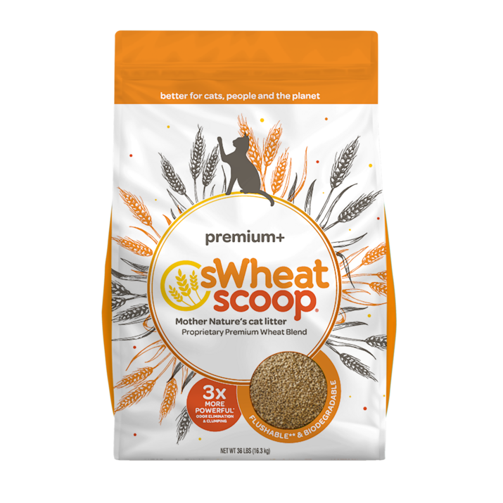 sWheat Scoop Premium+ Natural Clumping Wheat Cat Litter, 36lb