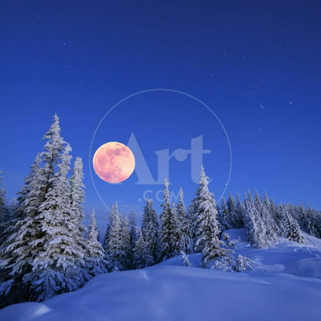 Winter Landscape in the Mountains at Night. A Full Moon and a Starry Sky. Carpathians, Ukraine Print Wall Art By