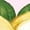 AD-Pink, variant on Lemon Arrangement Boys or Girls Baby T-Shirt