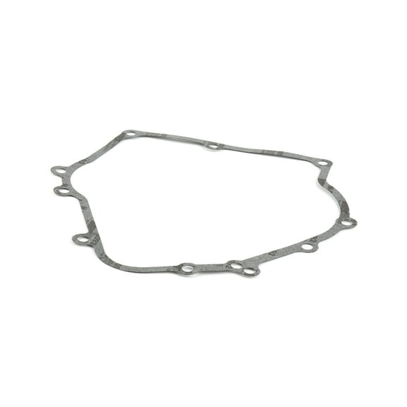 Briggs & Stratton OEM 710216  Gasket-Crankcase