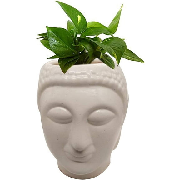 India Meets India Ceramic Planter Gautam Buddha Shape Flower Pot Handmade (White) (H-8.5XD-4.5 Inch)