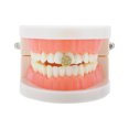 thumbnail image 2 of Unique Bargains 1 Pc Fake Grills Hip Hop Snowflake Teeth Grillz Gold Tone, 2 of 6