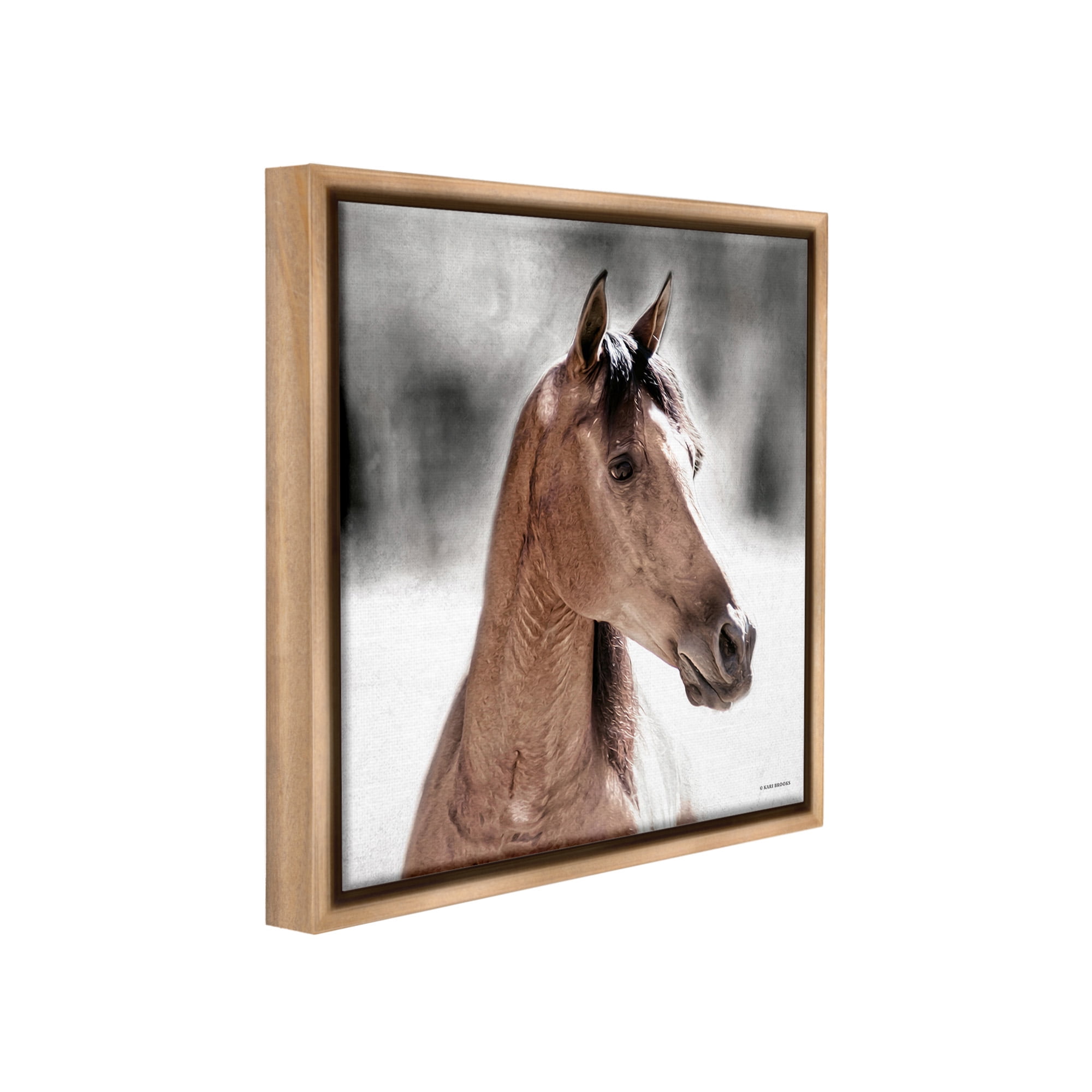 Stupell Industries Brown Foal in Snow Animals & Insects Photography Brown Floater Framed Canvas Art Print Wall Art, 25 x 25