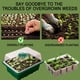thumbnail image 3 of Caja de vivero de plantas Kits de bandeja de cultivo de arranque de semillas duraderas Plantas de semillero ER, 3 of 5