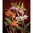 thumbnail image 3 of Jimenez, Rodolfo 12x14 Black Modern Framed Museum Art Print Titled - Orchid Trio II, 3 of 5