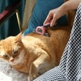 thumbnail image 7 of Mr. Pen- Pet Grooming Brush, Dog Brush for Shedding, Dog Shedding Brush, 7 of 7