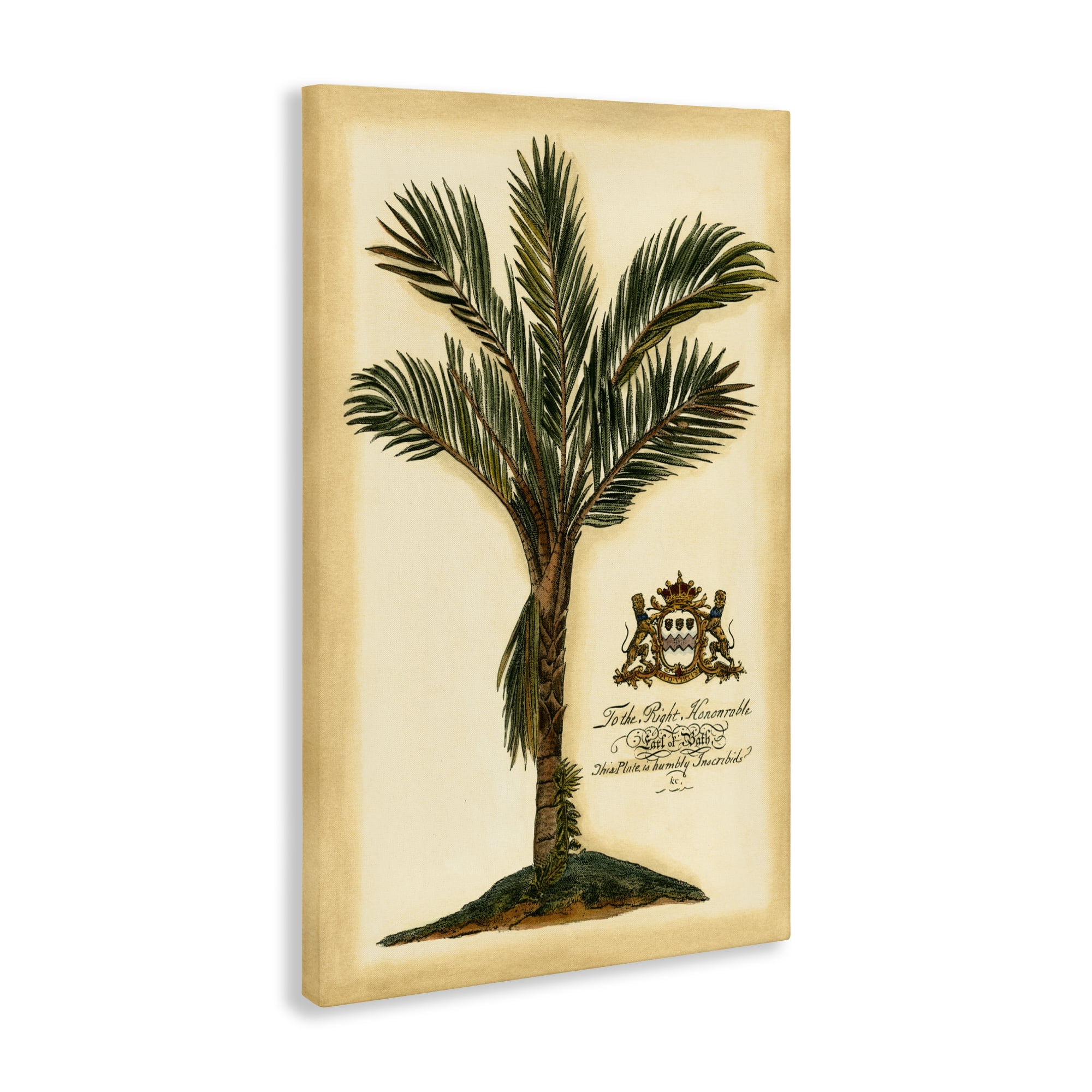 Stupell Industries Vintage Colonial Palm Canvas Wall Art, design by Vision Studio