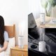 thumbnail image 2 of Small Humidifier 500ml Portable Travel Humidifier 3600mah Battery Powered Humidifier For Car Office Home Office Auto Shut-off Dual Mist Ports Quiet -, 2 of 5