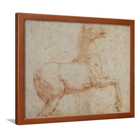 Study of One of the Quirinal Marble Horses, C.1515-17 Framed Print Wall Art By