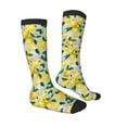 thumbnail image 4 of Lsque Lemon Seamless Pattern Oil Painting Effect Printed Crew Socks Men's Women's LightWeight Thin Casual Calf Socks ,Knee High Socks,Cotton Socks, 4 of 9