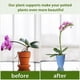 thumbnail image 5 of Estacas para Plantas, Estacas de Soporte para Plantas Adecuadas para Plantas de Interior, 20 Piezas de Palos para Plantas de Tallo úNico Flexibles de Color Verde para JardíN, 5 of 7