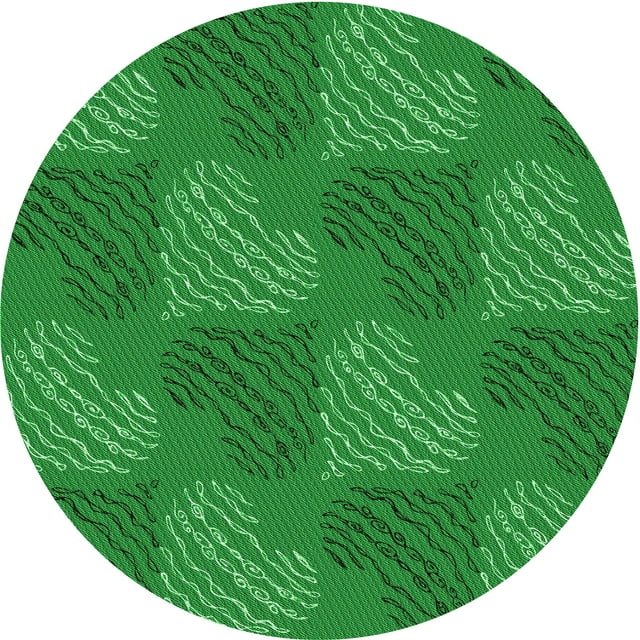 Ahgly Tapis Rond Lavable en Machine Intérieur Transitionnel Vert, 5 Pieds Rond
