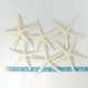 thumbnail image 5 of 24pcs White Finger Starfish 5-10cm Decorative Five-finger Starfish, 5 of 5