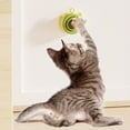 thumbnail image 6 of vnanda Gall Fruit for Digestion Improvement Cats Catnip Ball Cat Toys Self-adhesive Teeth-cleaning Digestion Promotion Rolling Rotating Nip Balls for Oral, 6 of 8