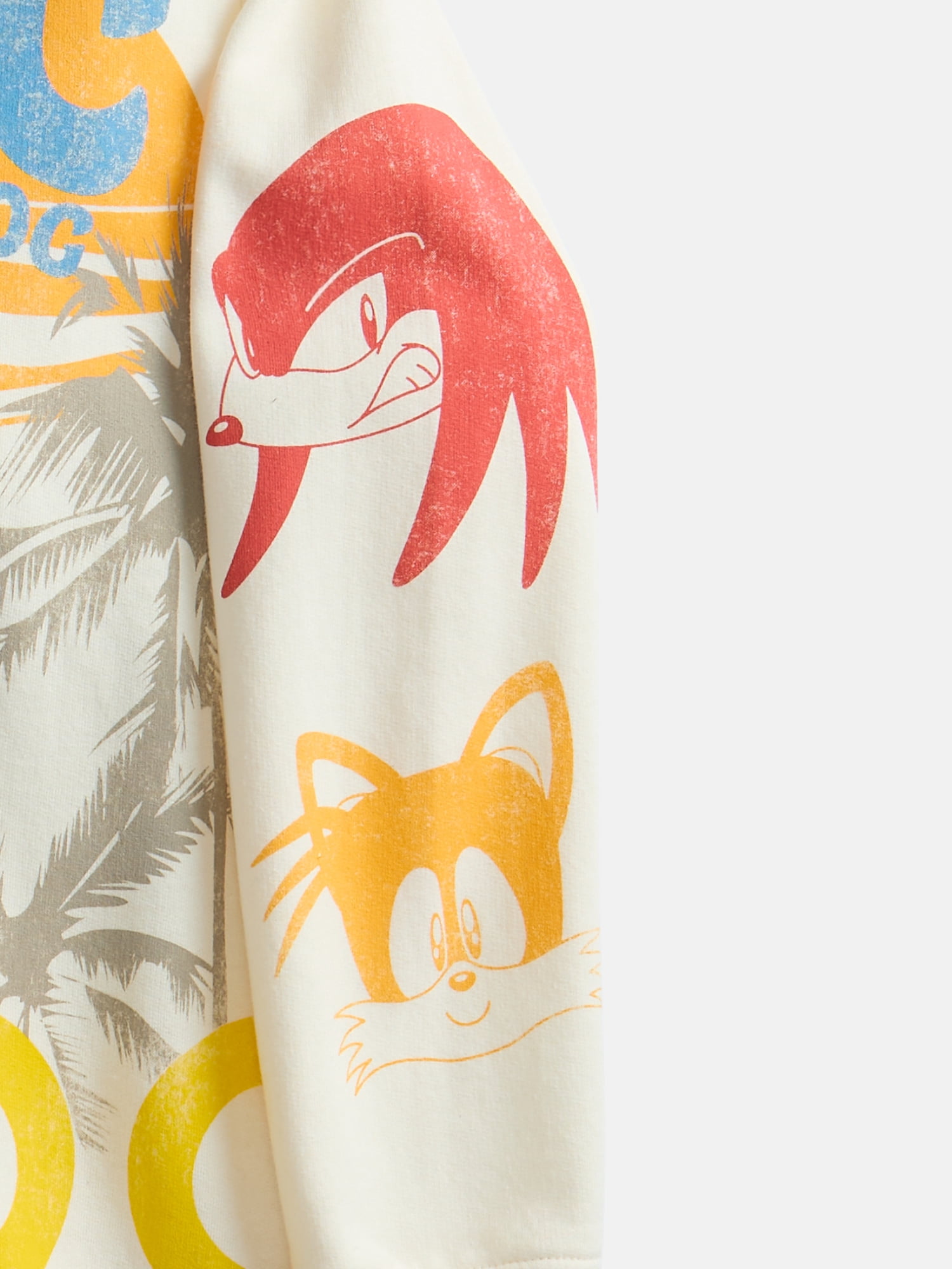 Sega Sonic The Hedgehog Boys Graphic Print Fleece Sweatshirt, Sizes XS 4/5-XL 14/16