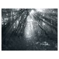 thumbnail image 2 of Sun Rays Through Gray Trees - Landscape Photography Canvas Print, 2 of 3