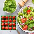 thumbnail image 3 of Destyer Cherry Tomato And Grape Salad Slicer All In One Dining Machine And Other Seedless Fruits. Fruit Tray, 3 of 6