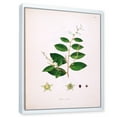 thumbnail image 3 of Designart 'Ancient Plant Life XVI' Farmhouse Framed Canvas Wall Art Print, 3 of 5