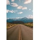 thumbnail image 3 of Fondo de fotografía de retrato para niños y adultos con carretera de Laeacco, camino sinuoso sin fin, paisaje natural, campo, árbol frondoso, 3 of 5